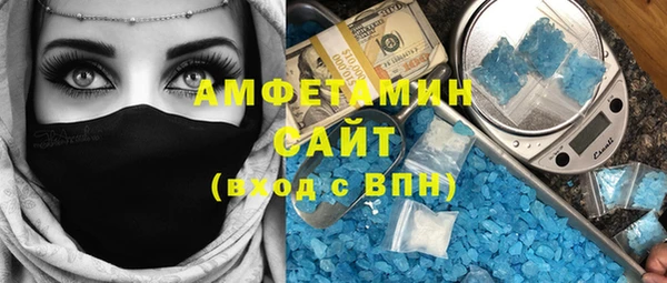 шишки Арсеньев