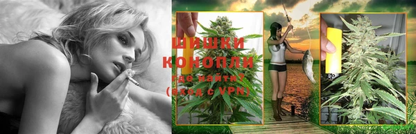 шишки Арсеньев