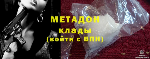 шишки Арсеньев