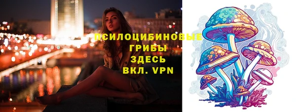 СК Аркадак