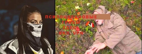 шишки Арсеньев