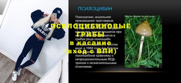 шишки Арсеньев