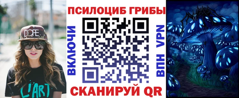 Галлюциногенные грибы прущие грибы  Сычёвка 