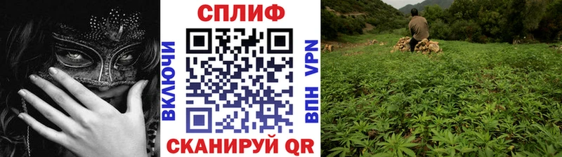 мега онион  Сычёвка  Конопля семена 